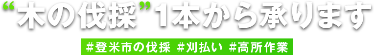 木の伐採”1本から承ります