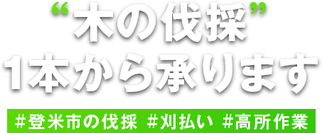 木の伐採”1本から承ります